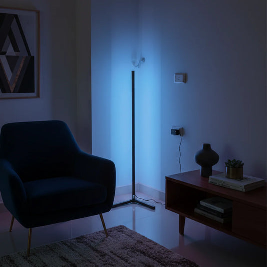 Smart Floor Lamp